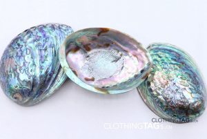 Abalone shell button