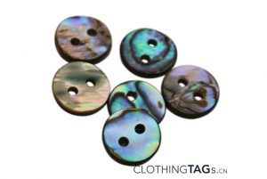 Abalone shell button 2