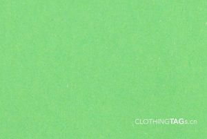 Parrot Green 70g 2