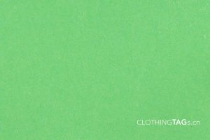 Parrot Green eco-friendly 70g 2